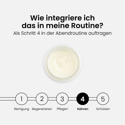 Q10-Bundle: Öl + Serum + Tages- und Nachtcreme